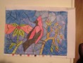 /album/fotogaleria/img-0710-jpg2/